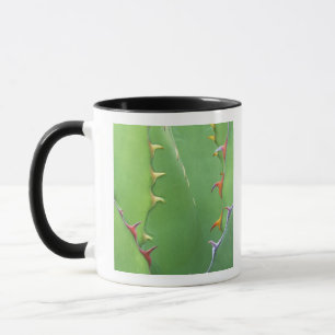 Caneca N.A., EUA, AZ, Phoenix, Jardim Botânico do Deserto