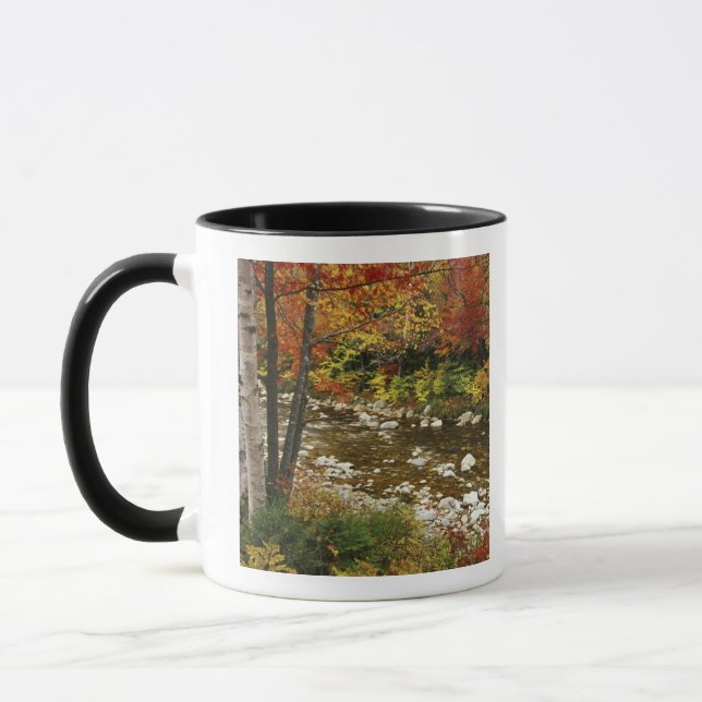 Caneca N.A., EUA, New Hampshire, White Mountains, (Esquerda)