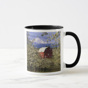 Caneca N.A., EUA, Oregon, Condado de Hood River. Vermelho