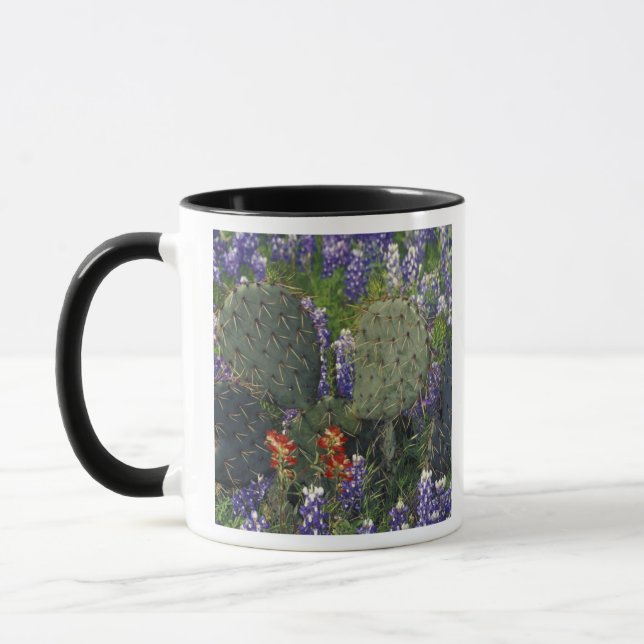 Caneca N.A., EUA, Texas, Cacto rodeado por (Esquerda)