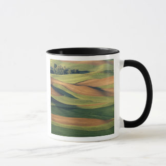 Caneca N.A., EUA, Washington, Condado de Whitman.