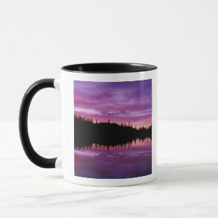 Caneca N.A., EUA, Washington, Mt. Rainier Nacional 2