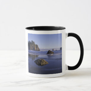Caneca N.A., EUA, Washington, Parque Nacional Olímpico, 3