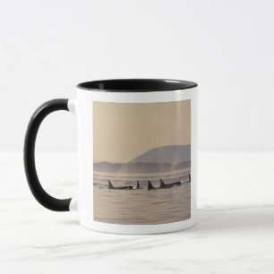 Caneca N.A., orca dos EUA, Washington, ilhas de San Juan