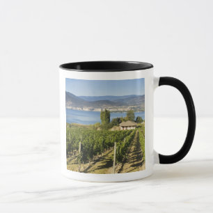 Caneca NA; Canadá; Colúmbia Britânica; Vale de Okanagan;