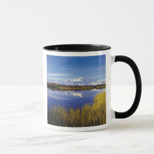 Caneca NA, EUA, Alasca, Parque Nacional Denali, Mt. McKin