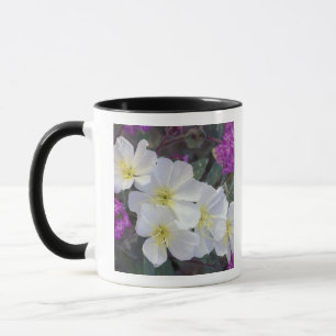 Caneca NA, EUA, Califórnia, Deserto Estadual de Anza Borr