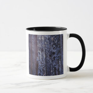 Caneca NA, EUA, Califórnia. Parque Nacional Sequoia.2