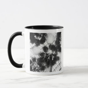 Caneca NA, EUA, Nova York, Nova York. Palmeiras em