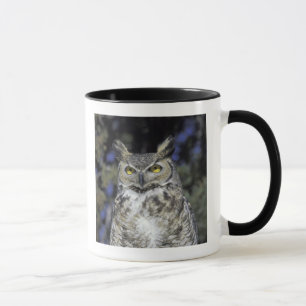 Caneca NA, EUA, Novo México, Parque da Natureza Wildlife