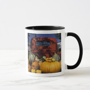 Caneca NA, EUA, Novo México, Taos. Stand Chile.