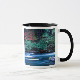 Caneca NA, EUA, Oregon, Folhagem de outono em North Umpqu