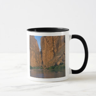 Caneca NA, EUA, Texas, Parque Nacional Big Bend. Rio