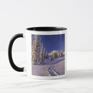 Caneca NA, EUA, Washington, Mt. Rainier NP, Neve