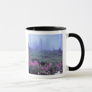 Caneca NA, EUA, Washington, Prado Alpino Nebuloso, Mt.