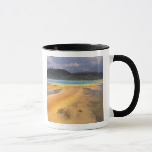Caneca NA, EUA, Wyoming, Yellowstone NP, Grand
