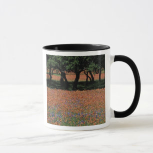 Caneca NA, Texas, Texas Hill Country, Represa Buchan,