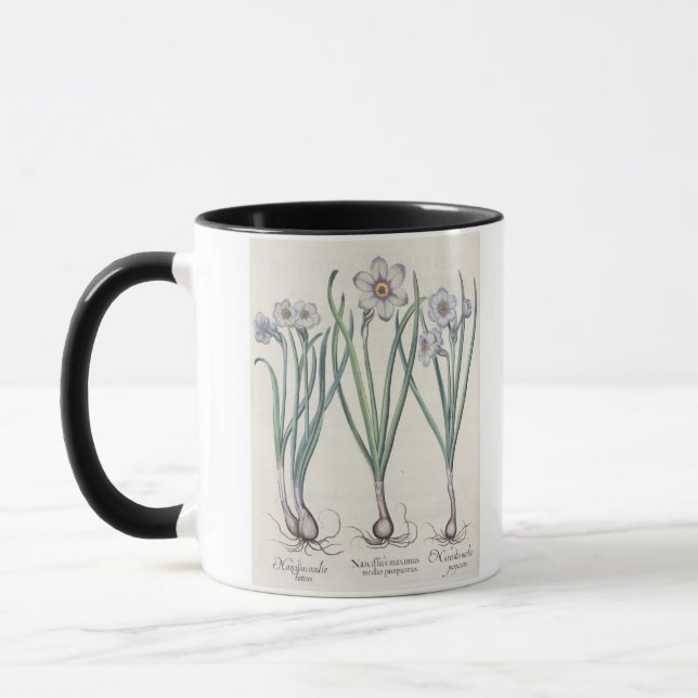 Caneca Narciso: purpureus do medio do maximus (Esquerda)