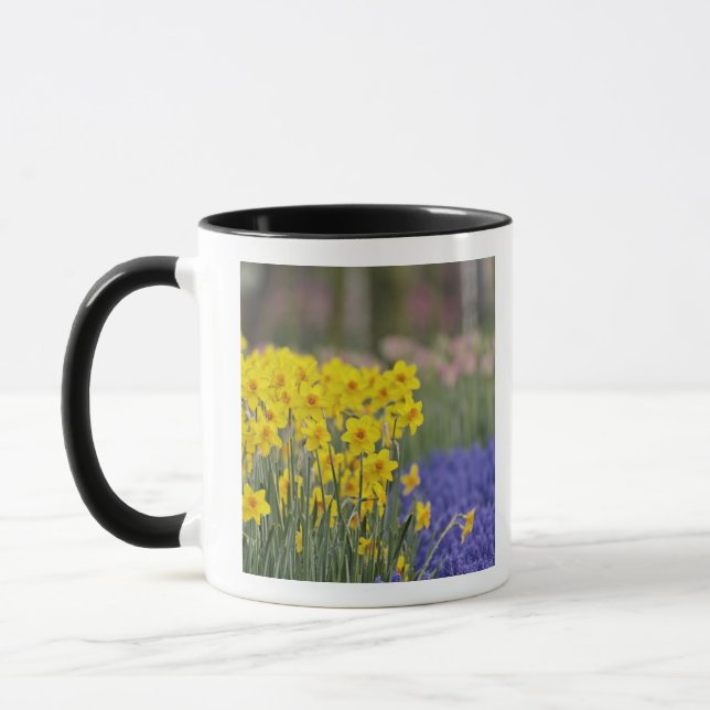 Caneca Narcisos e Jacintos-de-uva, Keukenhof (Esquerda)
