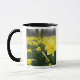 Caneca Narcisos (RF)