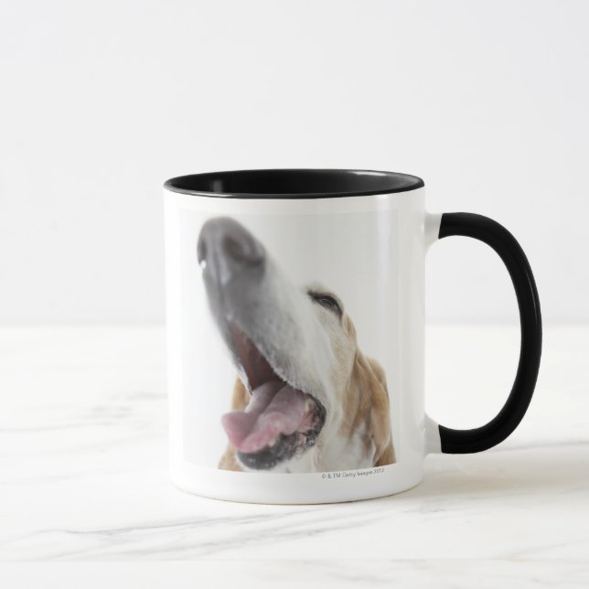 Caneca Nariz de s do cão ', fim-acima (Direita)