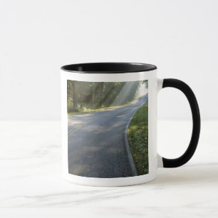Caneca Nascer do sol através da névoa ao longo do Green R