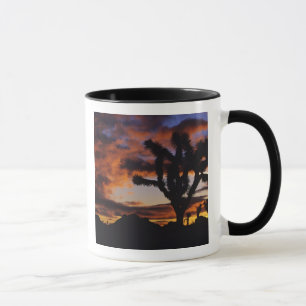 Caneca Nascer do sol espetacular no Parque Nacional Joshu
