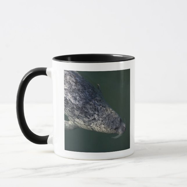 Caneca Natação do selo sob a água 2 (Esquerda)