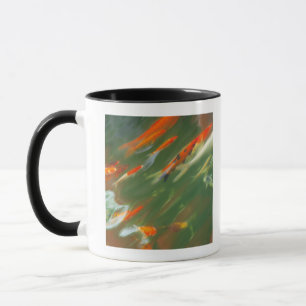 Caneca Natação dos peixes da carpa de Koi em uma lagoa