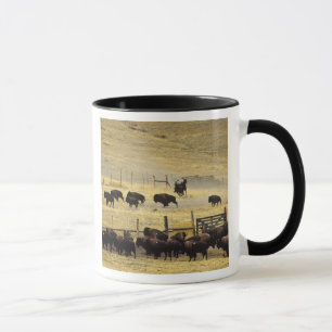 Caneca National Bison Range Roundup em Montana