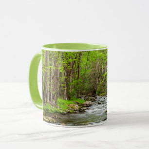 Caneca National Park Carolina do Norte, Montanhas do Enfu