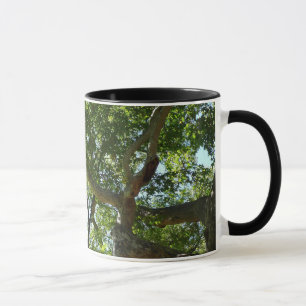 Caneca Natureza Verde da Árvore Sycamore