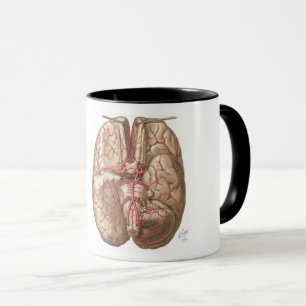 Caneca Netter Basal View of Brain - Mug