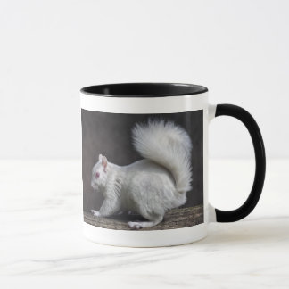 Caneca Nevada