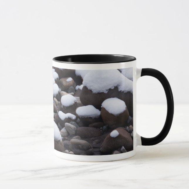 Caneca Neve e Rochas, Parque Nacional Mt. Rainier (Direita)