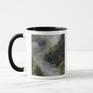 Caneca Névoa subindo da encosta da montanha após chuva de