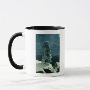 Caneca No norte selvagem, 1891