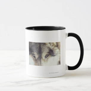 Caneca Nome Latin: Lúpus de Canis