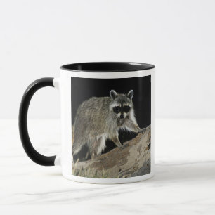 Caneca Norte Raccoon, Perfurador de Procyon