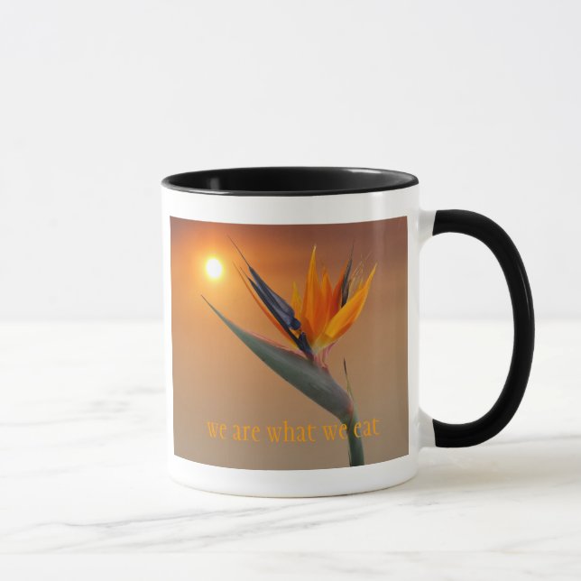 Caneca nós somos o que nós comemos (Direita)