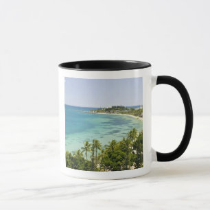 Caneca Nova Caledônia, Ilha Grande Terre, Noumea. Anse 2