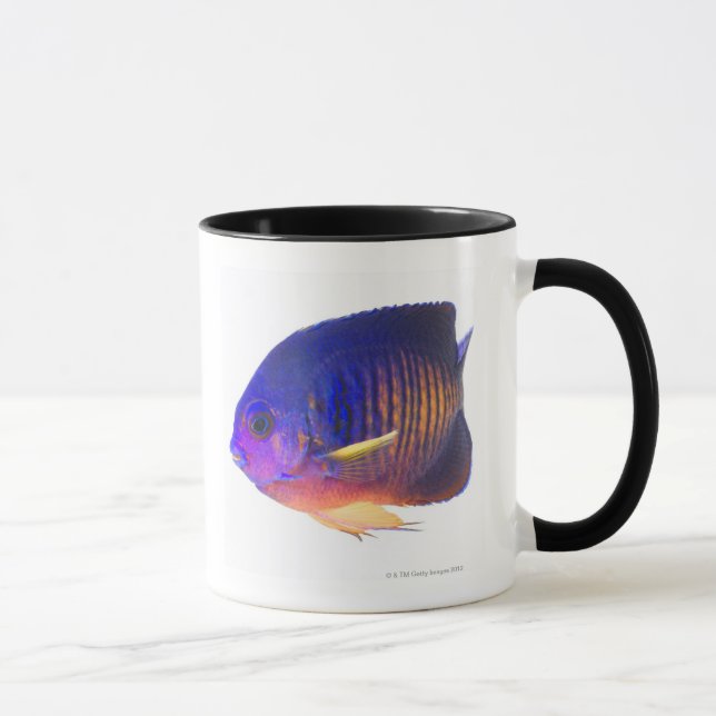 Caneca O angelfish two-spined (Direita)