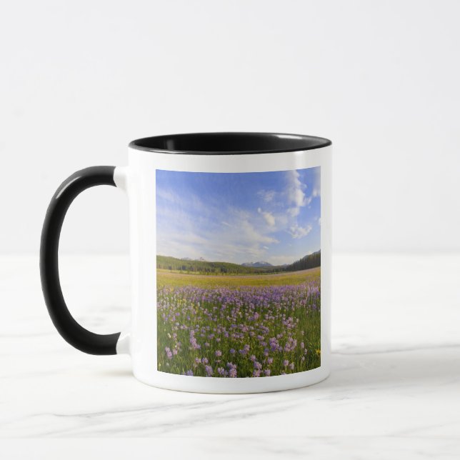 Caneca O campo das flores silvestres do penstemão nos 2 (Esquerda)