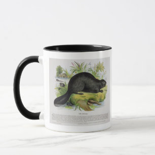 Caneca O castor, bar educacional da ilustração. pelo S
