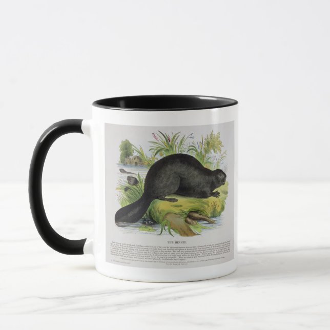 Caneca O castor, bar educacional da ilustração. pelo S (Esquerda)