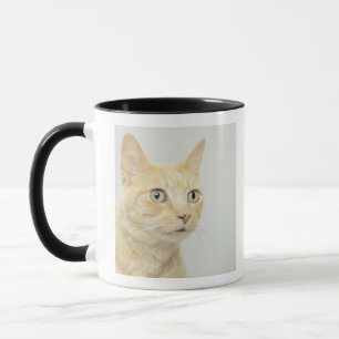 Caneca O gato com olhos abre largamente, fim-acima