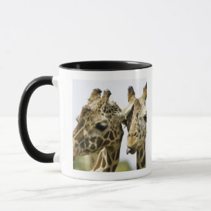Caneca O girafa conhecido é derivado da palavra árabe