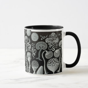 Caneca O Mycetozoa de Ernst Haeckel