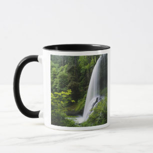 Caneca O Norte Médio cai, Silver Falls State Park,