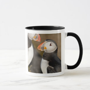 Caneca O Puffin Atlântico